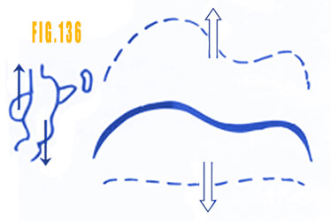 Le Qi de l'estomac, rate et du pancréas